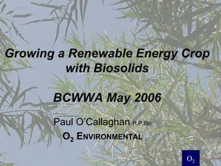 Growing a Renewable Energy Crop
         with Biosolids

       BCWWA May 2006
       Paul O’Callaghan R.P.Bio
        O2 ENVIRONMENTAL
                                       O2
                                  O2
 