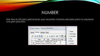 NUMBER
Este tipo es útil para aplicaciones que necesiten números elevados pero no requieran
una gran precisión.
 