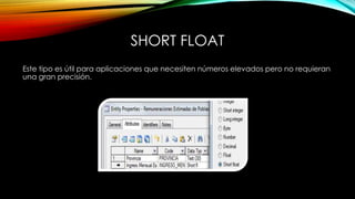 SHORT FLOAT
Este tipo es útil para aplicaciones que necesiten números elevados pero no requieran
una gran precisión.
 
