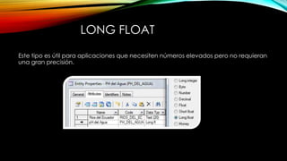 LONG FLOAT
Este tipo es útil para aplicaciones que necesiten números elevados pero no requieran
una gran precisión.
 