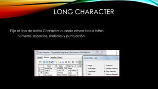 LONG CHARACTER
Elije el tipo de datos Character cuando desee incluir letras,
números, espacios, símbolos y puntuación.
 