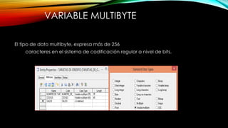 VARIABLE MULTIBYTE
El tipo de dato multibyte, expresa más de 256
caracteres en el sistema de codificación regular a nivel de bits.
 