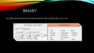 BINARY
Se utiliza para almacenar datos binarios de longitud fija, con una
 