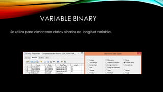 VARIABLE BINARY
Se utiliza para almacenar datos binarios de longitud variable.
 