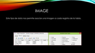 IMAGE
Este tipo de dato nos permite asociar una imagen a cada registro de la tabla.
 