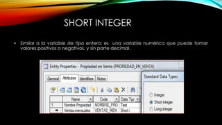 SHORT INTEGER
• Similar a la variable de tipo entero; es una variable numérica que puede tomar
valores positivos o negativos, y sin parte decimal.
 