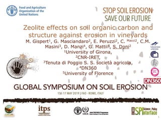 Zeolite effects on soil organic carbon and
structure against erosion in vineyards
M. Gispert1, G. Masciandaro2, E. Peruzzi2, C. Macci2, C.M.
Masini3, D. Manzi4, G. Mattii5, S. Doni2
1University of Girona,
2CNR-IRET,
3Tenuta di Poggio S. S. società agricola,
4DN360
5University of Florence
1
 