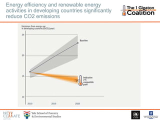 Energy efficiency and renewable energy
activities in developing countries significantly
reduce CO2 emissions
 