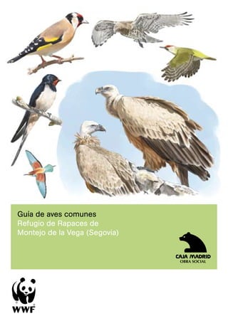 Guía de aves comunes
Refugio de Rapaces de
Montejo de la Vega (Segovia)
 