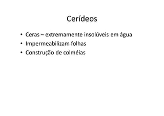 Cerídeos
• Ceras – extremamente insolúveis em água
• Impermeabilizam folhas
• Construção de colméias
 