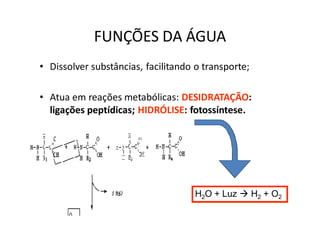 FUNÇÕES DA ÁGUA
• Dissolver substâncias, facilitando o transporte;

• Atua em reações metabólicas: DESIDRATAÇÃO:
  ligações peptídicas; HIDRÓLISE: fotossíntese.




                                     H2O + Luz       H2 + O2
 