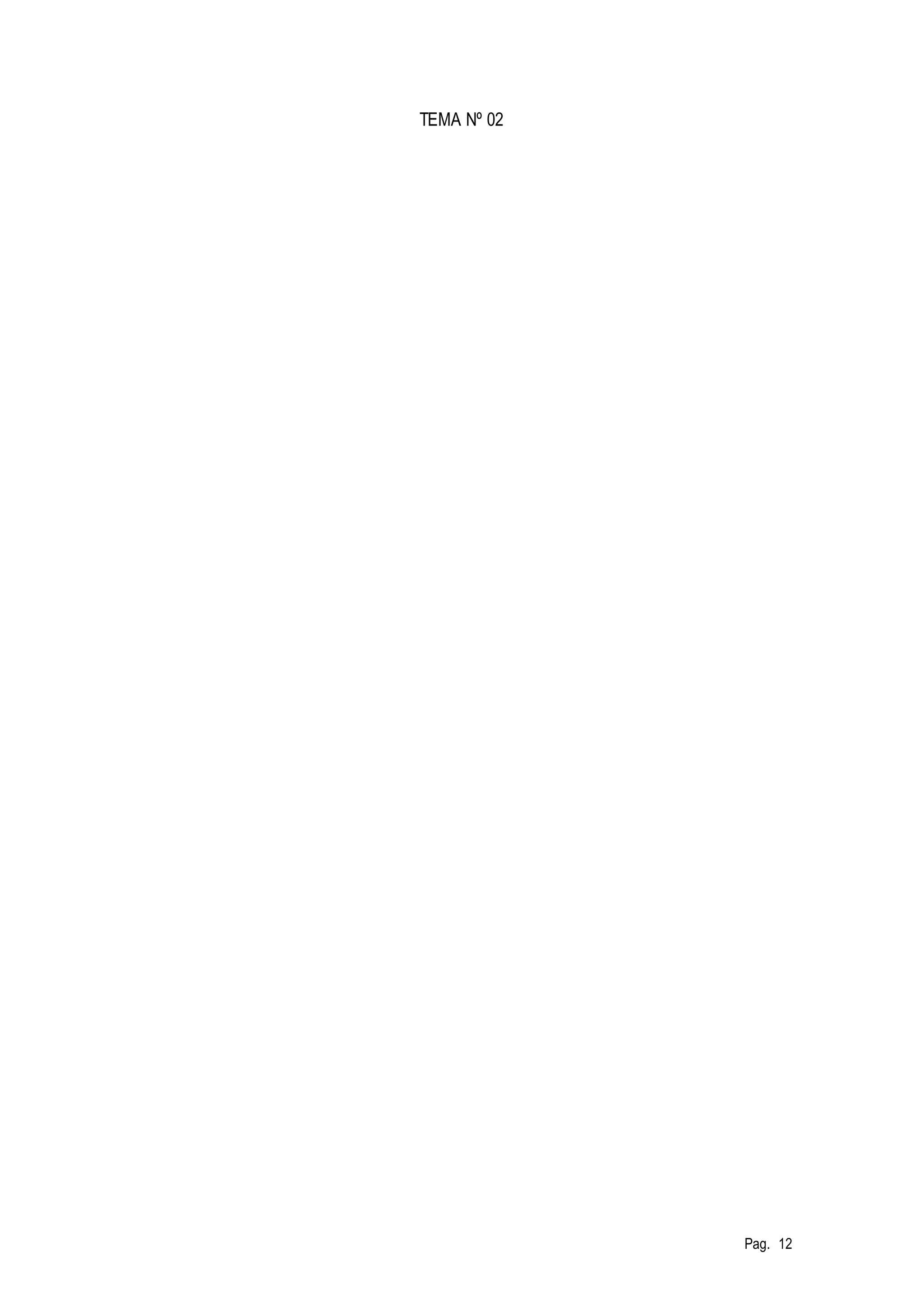 Pag. 12 
TEMA Nº 02 

