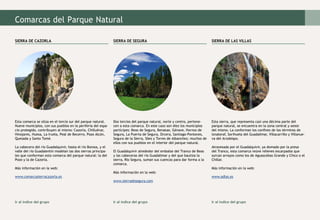 Esta comarca se sitúa en el tercio sur del parque natural.
Nueve municipios, con sus pueblos en la periferia del espa-
cio protegido, contribuyen al mismo: Cazorla, Chilluévar,
Hinojares, Huesa, La Iruela, Peal de Becerro, Pozo Alcón,
Quesada y Santo Tomé.
La cabecera del río Guadalquivir, hasta el río Borosa, y el
valle del río Guadalentín modelan las dos sierras principa-
les que conforman esta comarca del parque natural: la del
Pozo y la de Cazorla.
Más información en la web:
www.comarcasierracazorla.es
SIERRA DE CAZORLA SIERRA DE SEGURA SIERRA DE LAS VILLAS
Dos tercios del parque natural, norte y centro, pertene-
cen a esta comarca. En este caso son diez los municipios
partícipes: Beas de Segura, Benatae, Génave, Hornos de
Segura, La Puerta de Segura, Orcera, Santiago-Pontones,
Segura de la Sierra, Siles y Torres de Albanchez; muchos de
ellos con sus pueblos en el interior del parque natural.
El Guadalquivir alrededor del embalse del Tranco de Beas
y las cabeceras del río Guadalimar y del que bautiza la
sierra, Río Segura, suman sus cuencas para dar forma a la
comarca.
Más información en la web:
www.sierradesegura.com
Esta sierra, que representa casi una décima parte del
parque natural, se encuentra en la zona central y oeste
del mismo. La conforman los confines de los términos de
Iznatoraf, Sorihuela del Guadalimar, Villacarrillo y Villanue-
va del Arzobispo.
Atravesada por el Guadalquivir, ya domado por la presa
del Tranco, esta comarca reúne relieves escarpados que
surcan arroyos como los de Aguascebas Grande y Chico o el
Chillar.
Más información en la web:
www.adlas.es
Ir al índice del grupo Ir al índice del grupo Ir al índice del grupo
Comarcas del Parque Natural
 
