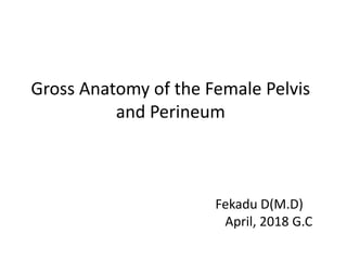 Gross Anatomy of the Female Pelvis
and Perineum
Fekadu D(M.D)
April, 2018 G.C
 