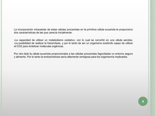 La incorporación intracelular de estas células procariotas en la primitiva célula eucariota le proporciono
dos características de las que carecía inicialmente:
-La capacidad de utilizar un metabolismo oxidativo, con lo cual se convirtió en una célula aerobia.
-La posibilidad de realizar la fotosíntesis, y por lo tanto de ser un organismo autótrofo capaz de utilizar
el CO2 para sintetizar moléculas orgánicas.
Por otro lado la célula eucariota proporcionaba a las células procariotas fagocitadas un entorno seguro
y alimento. Por lo tanto la endosimbiosis sería altamente ventajosa para los organismos implicados.
9
 
