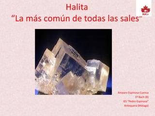 Halita
“La más común de todas las sales”
Amparo Espinosa Cuenca
1º Bach (B)
IES “Pedro Espinosa”
Antequera (Málaga)
 