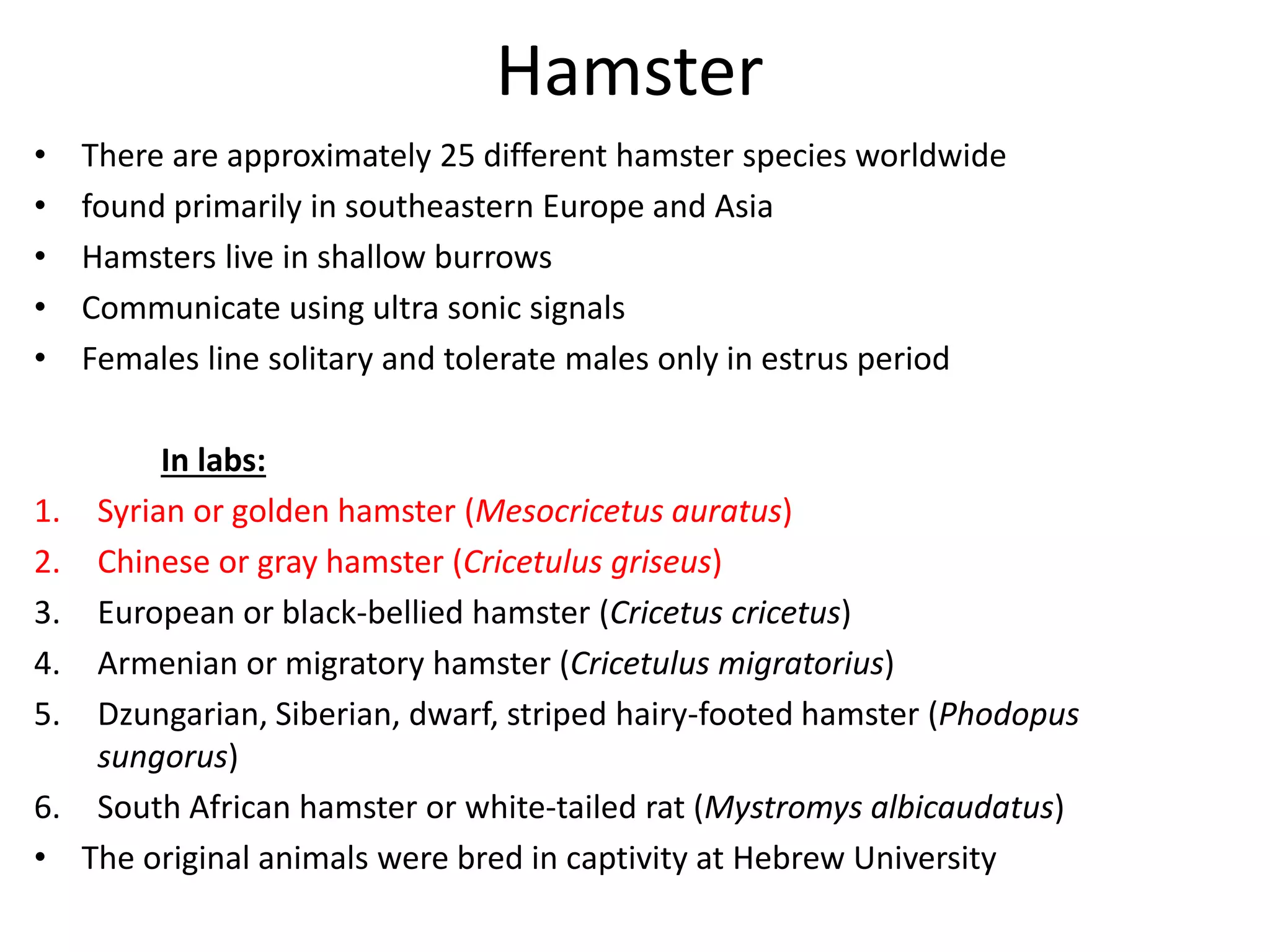 Hamster - Bacterial, Viral, Mycotic, Parasitic and Non infectious ... - Hamster Illnesses Checklist