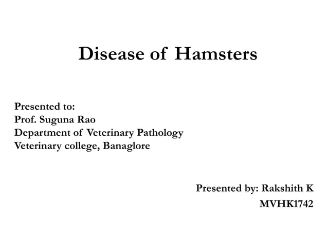 Curated visual reference: Fresh Look at Hamster Bacterial Viral Mycotic Parasitic And Non Infectious Diseases Pptx