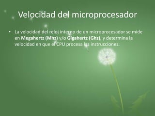 Velocidad del microprocesador
• La velocidad del reloj interno de un microprocesador se mide
  en Megahertz (Mhz) y/o Gigahertz (Ghz), y determina la
  velocidad en que el CPU procesa las instrucciones.
 