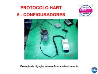 Exemplo de Ligação entre o Palm e o Instrumento
PROTOCOLO HART
5 - CONFIGURADORES
 