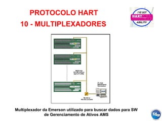 PROTOCOLO HART
10 - MULTIPLEXADORES
Multiplexador da Emerson utilizado para buscar dados para SW
de Gerenciamento de Ativos AMS
 