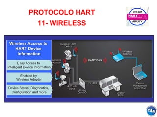 PROTOCOLO HART
11- WIRELESS
 