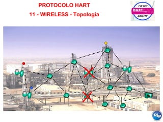 PROTOCOLO HART
11 - WIRELESS - Topologia
 