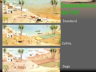 Dependència del Nil Inundació Collita Sega 
