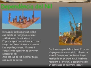 Dependència del Nil Els egipcis criaven aviram i xais  que només es menjaven els dies festius, quan també vivien vi. El peix es pescava amb xarxa o amb canya amb hams de coure o bronze. Les anguiles, carpes, llísseres i tenques que agafaven es deixaven assecar al sol. Amb els ous de les llísseres feien una mena de caviar . Per treure aigua del riu i canalitzar-la els pagesos feien servir la palanca, un aparell format per una barra llarga recolzada en un  punt mitjà i amb un recipient a l’extrem. S’accionava amb un contrapès en l’extrem oposat . 