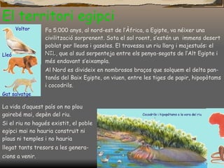 El territori egipci Voltor Lleó Gat salvatge Fa 5.000 anys, al nord-est de l’Àfrica, a Egipte, va néixer una civilització sorprenent. Sota el sol roent, s’estén un  immens desert poblat per lleons i   gaseles. El travessa un riu llarg i majestuós: el  NIL , que al sud serpenteja entre els penya-segats de l’Alt Egipte i més endavant s’eixampla. Al   Nord es divideix en nombrosos braços que solquem el delta   pan - tanós del Baix Egipte, on viuen, entre   les tiges de papir, hipopòtams i cocodrils.  La vida d’aquest país on no   plou gairebé mai, depèn del riu. Si el riu no hagués existit, el poble egipci   mai no hauria construït ni plaus ni temples i no hauria l legat tants tresors a les genera - cions a venir. 