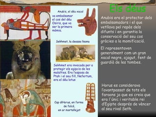 Els déus Anubis  era e l protector dels embalsamadors i el que vetllava pel repòs dels difunts i en garantia la conservació del seu cos gràcies a la momificació. El representaven generalment com un gran xacal negre, ajagut, fent de guardià de l e s tombes. va embalsamar el cos del déu Osiris, que va ser la primera mòmia. Sekhmet era invocada per a protegir els egipcis de les malalties. Era l’esposa de Ptah i el seu fill, Nefertum, era el déu lotus Horus es considerava  l’avantpassat de tots els faraons ja que es creia que era l'únic i veritable rei d’Egipte després de vèncer al seu rival Seth. 
