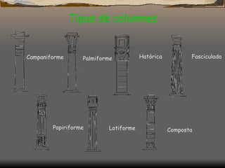 Tipus de columnes Lotiforme Campaniforme Papiriforme Palmiforme Hatòrica C omposta Fasciculada 