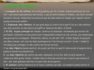 La planta típica 1.  L’avinguda de les esfinxs : és un llarg passeig que té a banda i banda escultures de cos felí i cap humà (representació del faraó), o cap de moltó (símbol d'Amón), o de falcó coronat (al·lusió a Horus). Simbolitza la protecció que els déus donen al temple, per impedir entrar qualsevol principi malèfic  2.  L'Esplanada dels Obeliscs : és una gran plaça al centre de la qual hi ha un o dos obeliscs que duen gravats, en escriptura jeroglífica, lloances als déus i al faraó 3.  El Piló, façana principal  del temple: construcció massissa i atalussada que serveix de portalada. Consisteix en dos grans murs trapezoïdals acabats en una cornisa, que emmarquen una gran porta rectangular. Simbolitza, alhora, la unió del l'Alt i el Baix Egipte mitjançant uns déus comuns, així com les dues muntanyes de l'horitzó per un surt i el sol, i també la fortalesa que protegeix el déu contra les forces nocives 4.  La Sala Hípetra  (sense sostre): és un pati porticat al qual hi tenia accés la majoria de la població durant les solemnitats 5. La Sala Hipòstila  (de sostre pla amb columnes): era el lloc dels iniciats durant la celebració dels grans rituals, i només rebia la llum que entrava per la porta que donava al pati i per unes gelosies obertes a la part alta de les parets 6.  El santuari : petita habitació on hi havia l'estàtua del déu i on només hi podia entrar el faraó o el gran sacerdot 