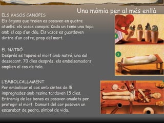 Una mòmia per al més enllà ELS VASOS CANOPIS Els òrgans que treien es posaven en quatre atuells: els vasos canopis. Cada un tenia una tapa amb el cap d’un déu. Els vasos es guardaven dintre d’un cofre, prop del mort. EL NATRÓ Després es tapava el mort amb natró, una sal dessecant. 70 dies després, els embalsamadors omplien el cos de tela. L’EMBOLCALLAMENT Per embolicar el cos amb cintes de lli impregnades amb resina tardaven 15 dies. Entremig de les benes es posaven amulets per protegir el mort. Damunt del cor posaven un escarabat de pedra, símbol de vida. 