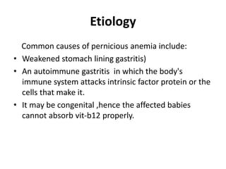 Etiology
Common causes of pernicious anemia include:
• Weakened stomach lining gastritis)
• An autoimmune gastritis in which the body's
immune system attacks intrinsic factor protein or the
cells that make it.
• It may be congenital ,hence the affected babies
cannot absorb vit-b12 properly.
 