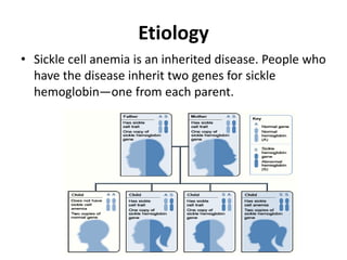 Etiology
• Sickle cell anemia is an inherited disease. People who
have the disease inherit two genes for sickle
hemoglobin—one from each parent.
 