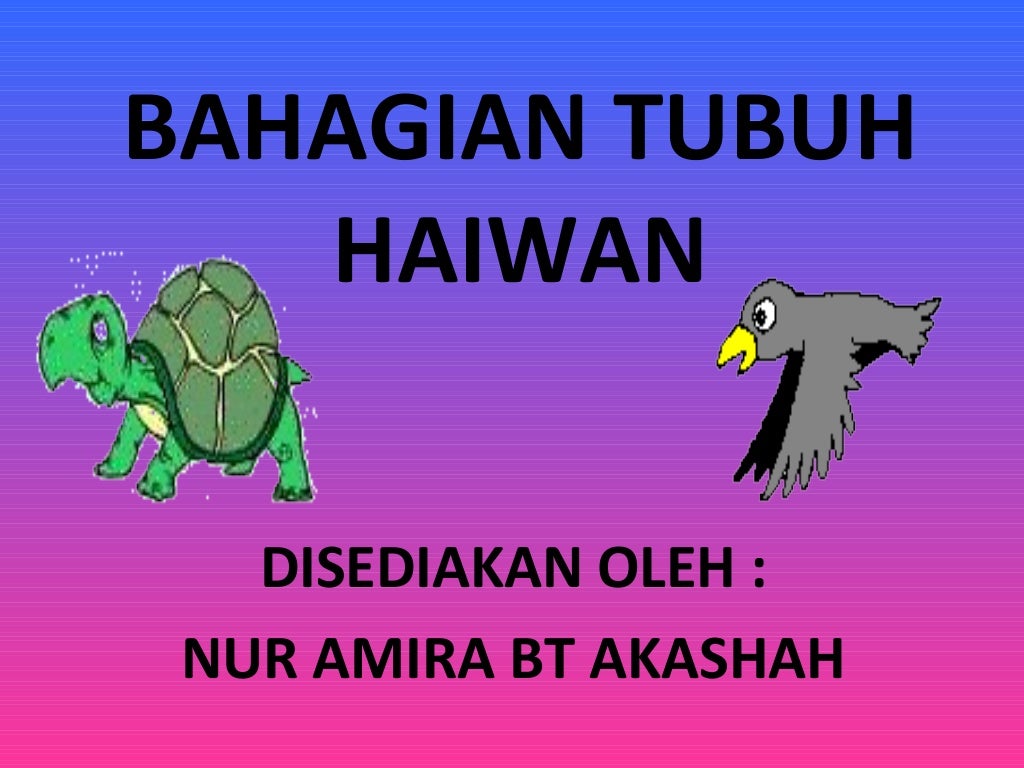 Bahagian tubuh haiwan