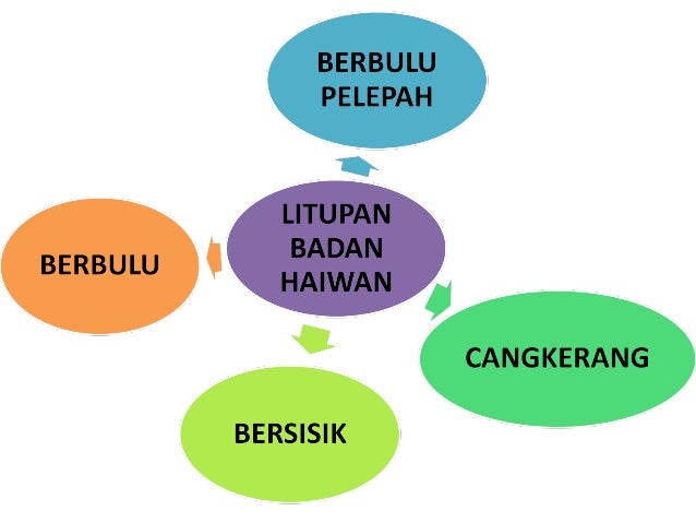 Bahagian Tubuh Haiwan
