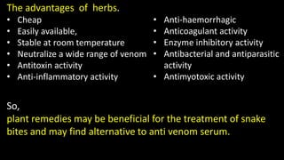 Image result for Herbal remedeis for snake bites | PPT
