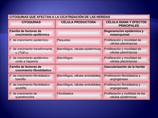 CITOQUINAS QUE AFECTAN A LA CICATRIZACIÓN DE LAS HERIDAS CITOQUINAS  CÉLULA PRODUCTORA  CÉLULA DIANA Y EFECTOS PRINCIPALES  Familia de factores de crecimiento epidérmico      Regeneración epidérmica y mesenquimal  F. de crecimiento epidérmico  Plaquetas  Proliferación y movilidad de células pleiotrópicas  F. de crecimiento transformante    (TGF  )   Macrófagos, células epidérmicas  Proliferación y movilidad de células pleiotrópicas  F. de crecimiento epidérmico unido a heparina  Macrófagos  Proliferación y movilidad de células pleiotrópicas  Familia de factores de crecimiento fibroblástico      Vascularización de la herida  F. de crecimiento fibroblástico basófilo  Macrófagos, células endoteliales  Proliferación fibroblástica y angiogénesis  F. de crecimiento fibroblástico acidófilo  Macrófagos, células endoteliales  Proliferación fibroblástica y angiogénesis  F. de crecimiento de queratinocitos  Fibroblastos  Proliferación y motilidad de las células epidérmicas  