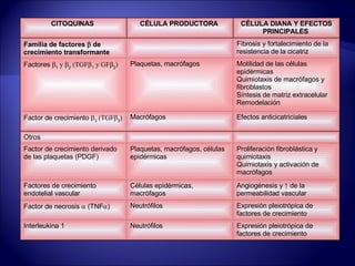 CITOQUINAS  CÉLULA PRODUCTORA  CÉLULA DIANA Y EFECTOS PRINCIPALES  Familia de factores    de crecimiento transformante       Fibrosis y fortalecimiento de la resistencia de la cicatriz  Factores   1  y   2  (TGF  1  y GF  2 )  Plaquetas, macrófagos  Motilidad de las células epidérmicas  Quimiotaxis de macrófagos y fibroblastos  Síntesis de matriz extracelular  Remodelación  Factor de crecimiento   3  (TGF  3 )  Macrófagos  Efectos anticicatriciales  Otros         Factor de crecimiento derivado de las plaquetas (PDGF)  Plaquetas, macrófagos, células epidérmicas  Proliferación fibroblástica y quimiotaxis  Quimiotaxis y activación de macrófagos  Factores de crecimiento endotelial vascular  Células epidérmicas, macrófagos  Angiogénesis y ↑ de la permeabilidad vascular  Factor de necrosis    (TNF  )   Neutrófilos  Expresión pleiotrópica de factores de crecimiento  Interleukina 1  Neutrófilos  Expresión pleiotrópica de factores de crecimiento  