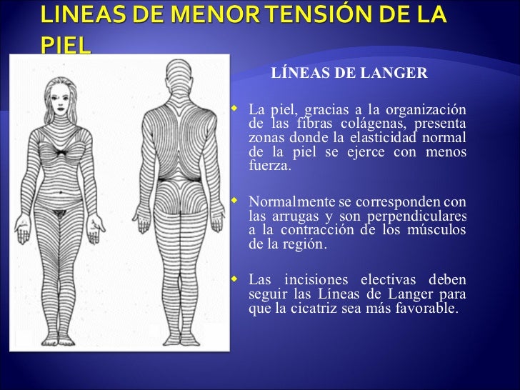 1 Heridas Y Cicatri