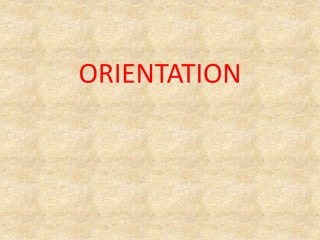 ORIENTATION
 