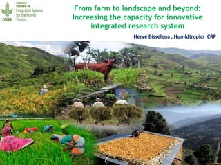 From farm to landscape and beyond:
Increasing the capacity for innovative
integrated research system
Hervé Bisseleua , Humidtropics CRP
 