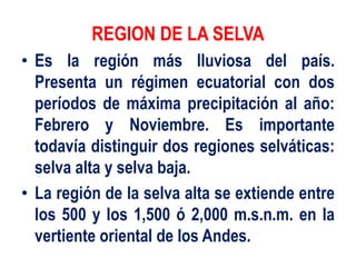 REGION DE LA SELVA
• Es la región más lluviosa del país.
Presenta un régimen ecuatorial con dos
períodos de máxima precipitación al año:
Febrero y Noviembre. Es importante
todavía distinguir dos regiones selváticas:
selva alta y selva baja.
• La región de la selva alta se extiende entre
los 500 y los 1,500 ó 2,000 m.s.n.m. en la
vertiente oriental de los Andes.
 