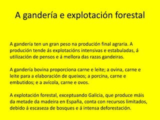 A gandería e explotación forestal
A gandería ten un gran peso na produción final agraria. A
produción tende ás explotacións intensivas e estabuladas, á
utilización de pensos e á mellora das razas gandeiras.
A gandería bovina proporciona carne e leite; a ovina, carne e
leite para a elaboración de queixos; a porcina, carne e
embutidos; e a avícola, carne e ovos.
A explotación forestal, exceptuando Galicia, que produce máis
da metade da madeira en España, conta con recursos limitados,
debido á escaseza de bosques e á intensa deforestación.
 