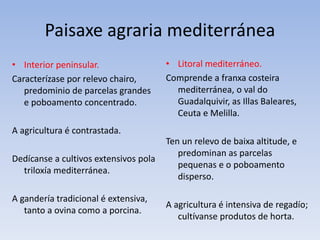 Paisaxe agraria mediterránea
• Interior peninsular.
Caracterízase por relevo chairo,
predominio de parcelas grandes
e poboamento concentrado.
A agricultura é contrastada.
Dedícanse a cultivos extensivos pola
triloxía mediterránea.
A gandería tradicional é extensiva,
tanto a ovina como a porcina.
• Litoral mediterráneo.
Comprende a franxa costeira
mediterránea, o val do
Guadalquivir, as Illas Baleares,
Ceuta e Melilla.
Ten un relevo de baixa altitude, e
predominan as parcelas
pequenas e o poboamento
disperso.
A agricultura é intensiva de regadío;
cultívanse produtos de horta.
 
