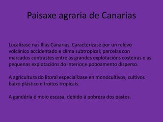 Paisaxe agraria de Canarias
Localízase nas Illas Canarias. Caracterízase por un relevo
volcánico accidentado e clima subtropical; parcelas con
marcados contrastes entre as grandes explotacións costeiras e as
pequenas explotacións do interior,e poboamento disperso.
A agricultura do litoral especialízase en monocultivos, cultivos
baixo plástico e froitos tropicais.
A gandéría é moio escasa, debido á pobreza dos pastos.
 