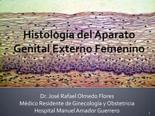 Dr. José Rafael Olmedo Flores
Médico Residente de Ginecología y Obstetricia
Hospital Manuel Amador Guerrero 1
 