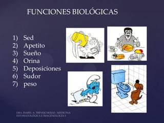 FUNCIONES BIOLÓGICAS


1)   Sed
2)   Apetito
3)   Sueño
4)   Orina
5)   Deposiciones
6)   Sudor
7)   peso
 